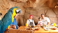 Tak hanya diajak untuk bermain bersama berbagai jenis hewan. Tapi pengunjung juga bisa makan di dalam goa, ditemani berbagai hewan yang keren di sana. Foto: Istimewa