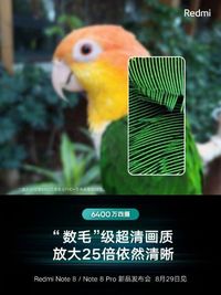 Redmi Note 8 Pro Pamer Kemampuan 25x Zoom