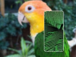 Mau Rilis, Redmi Note 8 Pro Mulai Tebar Pesona