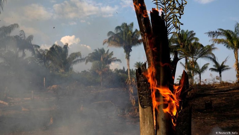 Dunia Kecam Brasil Tidak Serius Tangani Kebakaran Hutan Amazon Dunia Kecam Brasil Tidak Serius Tangani Kebakaran Hutan Amazon