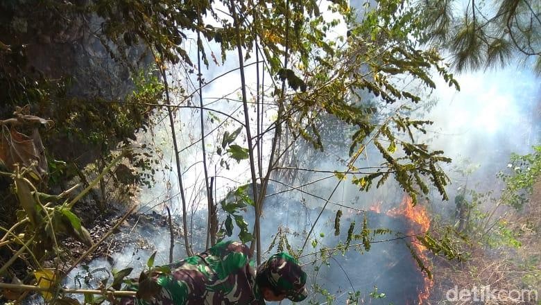 Kebakaran di Gunung Brojo Wonogiri Padam, Warga Waspadai Titik Api Baru Kebakaran di Gunung Brojo Wonogiri Padam, Warga Waspadai Titik Api Baru
