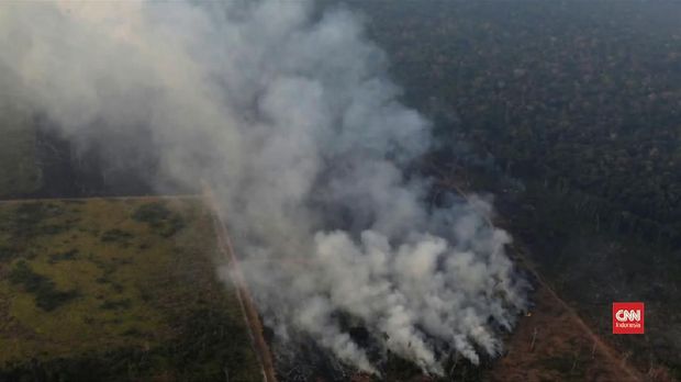 Kebakaran di Hutan Amazon.