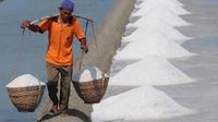 Penghasil garam terbesar di indonesia