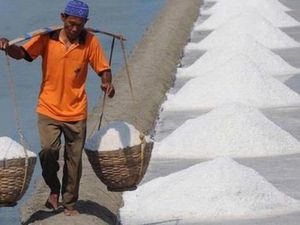 Curhat ke Susi Garam Tak Laku, Petani Madura Coba Ekspor ke Singapura