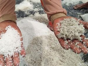 Sampai Kapan RI Tergantung Gula dan Garam Impor?
