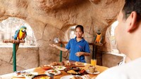 Makan ditemani burung-burung cantik juga jadi pengalaman seru yang terlupakan.  Foto: Istimewa