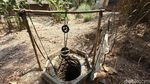 Potret Hamparan Sawah Kering di Kabupaten Bekasi