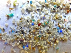 Video: Mengenal 2 Jenis Mikroplastik di Lingkungan Sehari-hari