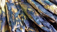 Penjual sego cawuk biasanya punya beragam pepes, dari ikan teri, ikan, tahu dan lainnya. Tinggal pilih sesuai selera. Foto : Instagram @segocawuk