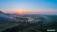 Pembangkit ini kadang-kadang juga disebut sebagai peternakan surya atau peternakan surya, terutama ketika berlokasi di daerah pertanian. Xinhua/Mou Yu.