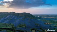Pembangkit listrik fotovoltaik adalah salah satu dari dua dengan total kapasitas 50MW yang dibangun di lereng bukit tandus di Kabupaten Neiqiu. Xinhua/Mou Yu.
