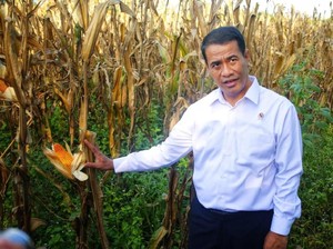 Sosialisasi RUU Budi Daya, Mentan: Ini Upaya Tingkatkan Peran Petani