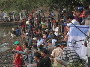 Serunya 700 Pemancing Berebut Lele di Festival Tasikardi Serang