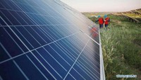 Pembangkit listrik fotovoltaik yang juga dikenal sebagai taman surya adalah sistem fotovoltaik skala besar (sistem PV) yang dirancang untuk memasok daya ke dalam jaringan listrik. Xinhua/Mou Yu.