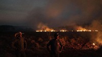 Sebelumnya Presiden Brasil Jair Bolsonaro mengatakan akan mengerahkan para tentara untuk memadamkan kebakaran yang melanda hutan hujan tropis Amazon. Bolsonaro juga akan membahas langkah-langkah untuk mengatasi kebakaran dengan para menterinya. AP/Leo Correa.