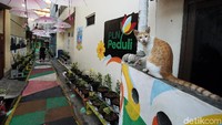 Kini gang tersebut terlihat hijau dan asri dengan adanya bermacam tanaman hias.