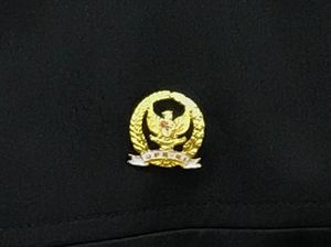 Lulung Akan Terima Pin Emas: Apresiasi Negara ke Anggota Dewan