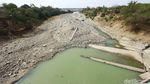 Potret Keceriaan Anak-anak Berenang di Sungai Cipamingkis
