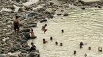 Potret Keceriaan Anak-anak Berenang di Sungai Cipamingkis