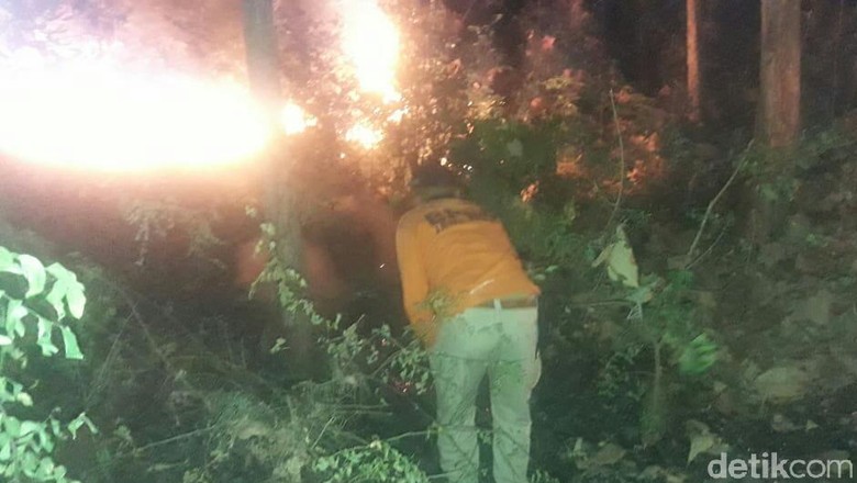 Hutan Dekat Jalur Pantura Pasir Putih Situbondo Terbakar Hutan Dekat Jalur Pantura Pasir Putih Situbondo Terbakar