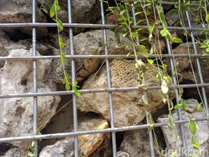 Jenis Gamping di Instalasi Gabion Biasa Dipakai untuk Industri
