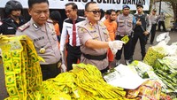 Akibat perbuatannya tersangka dijerat Pasal 196 dan atau Pasal 197 dan atau Pasal 198 Undang-undang RI No 36 tahun 2009 tentang kesehatan. Jamu palsu tersebut dijual oleh tersangka ke warung-warung di Ciamis dan Banjar dengan harga Rp 1.000 kemudian oleh warung dijual Rp 1.500 per bungkus dengan isi 2 kapsul. Setiap warung tersangka menjual 2 renceng atau sekitar 20 pcs. 