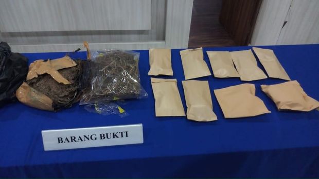 1 Kg ganja yang disita dari tersangka FA.