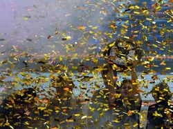 Perjuangan Juara Dunia Dota 2 yang Diganjar Rp 221 Miliar