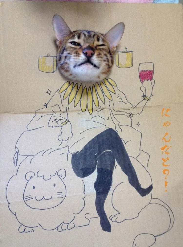 kucing cardboard