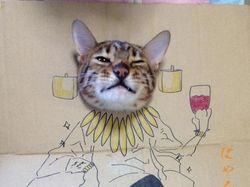 Kocak! Ketika Kucing Dipadu dengan Gambar di Kardus