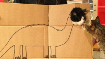 Si dino dengan teman kucingnya. (Foto: sadanduseless)