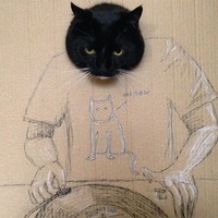 kucing cardboard