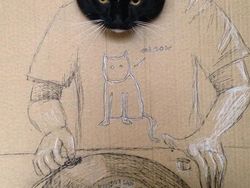 Kocak! Ketika Kucing Dipadu dengan Gambar di Kardus