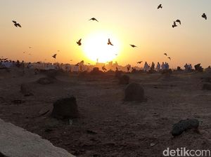 Nabi Ayub dan Kisah Kesabarannya yang Patut Diteladani