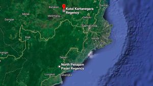 Penampakan Ibu Kota Baru Dilihat dari Google Maps