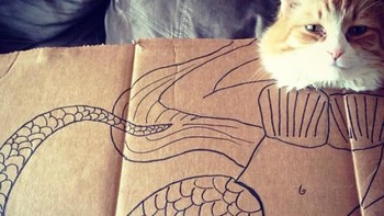 Kucing duyung. (Foto: sadanduseless)