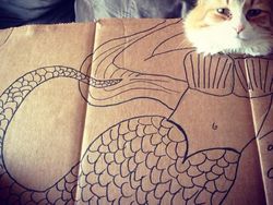 Kocak! Ketika Kucing Dipadu dengan Gambar di Kardus