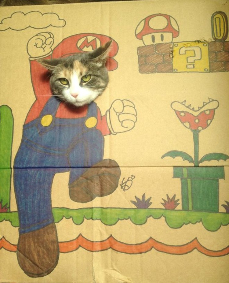 kucing cardboard