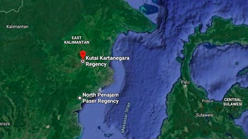 Menteri Perencanaan Pembangunan Nasional (PPN)/Kepala Badan Perencanaan Pembangunan Nasional (Bappenas) menjelaskan total lahan yang disiapkan 180 ribu hektare (ha), namun untuk tahap awal yang dipakai seluas 40.000 ha. Foto: Google Maps