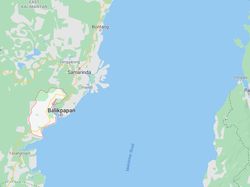 Penampakan Ibu Kota Baru Dilihat dari Google Maps