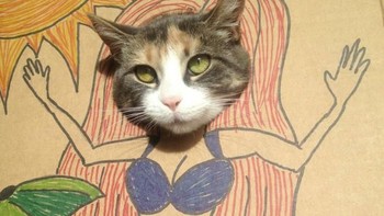 Aku seksi tidak? (Foto: sadanduseless)