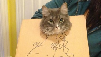 Godzilanya punya perut buncit. (Foto: sadanduseless)