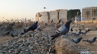 Baqi dulunya dipenuhi dengan Al Gharqad yaitu sebuah tanaman berduri. Makanya disebut dengan Baqi Al Gharqad.