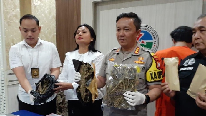 Polres Jaksel Tangkap Bandar Berinisial FA, 1 Kg Ganja Disita