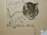 kucing cardboard
