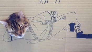 Nyantai dulu ah. (Foto: sadanduseless)