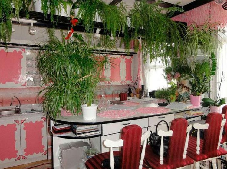 Duh, Kocaknya! 15 Desain Dapur Ini Ngaco Abis