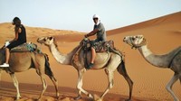 Dibandingkan dengan kondisi hari ini, Gurun Sahara di masa Cretaceous memang layak disebut sebagai tempat paling berbahaya. Di antara dinosaurus predator berukuran raksasa, manusia tentu tak akan bisa bertahan lama di Gurun Sahara kala itu (Imam Sunarko/dTraveler)