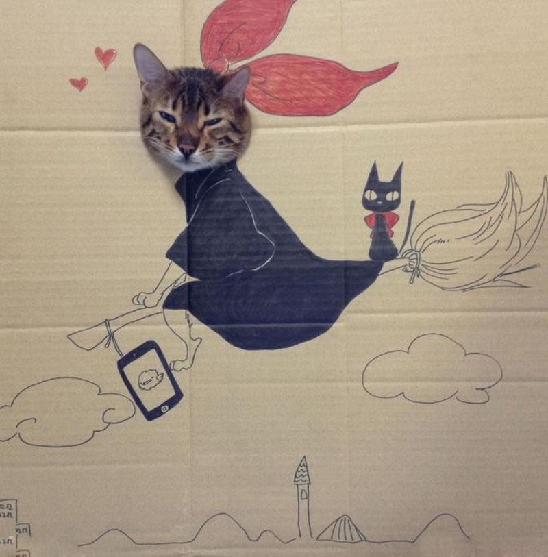 kucing cardboard