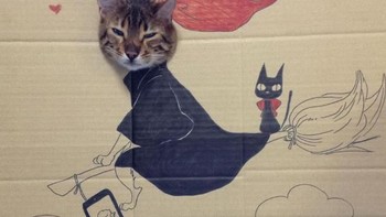 Terbang mengelilingi dunia. (Foto: sadanduseless)